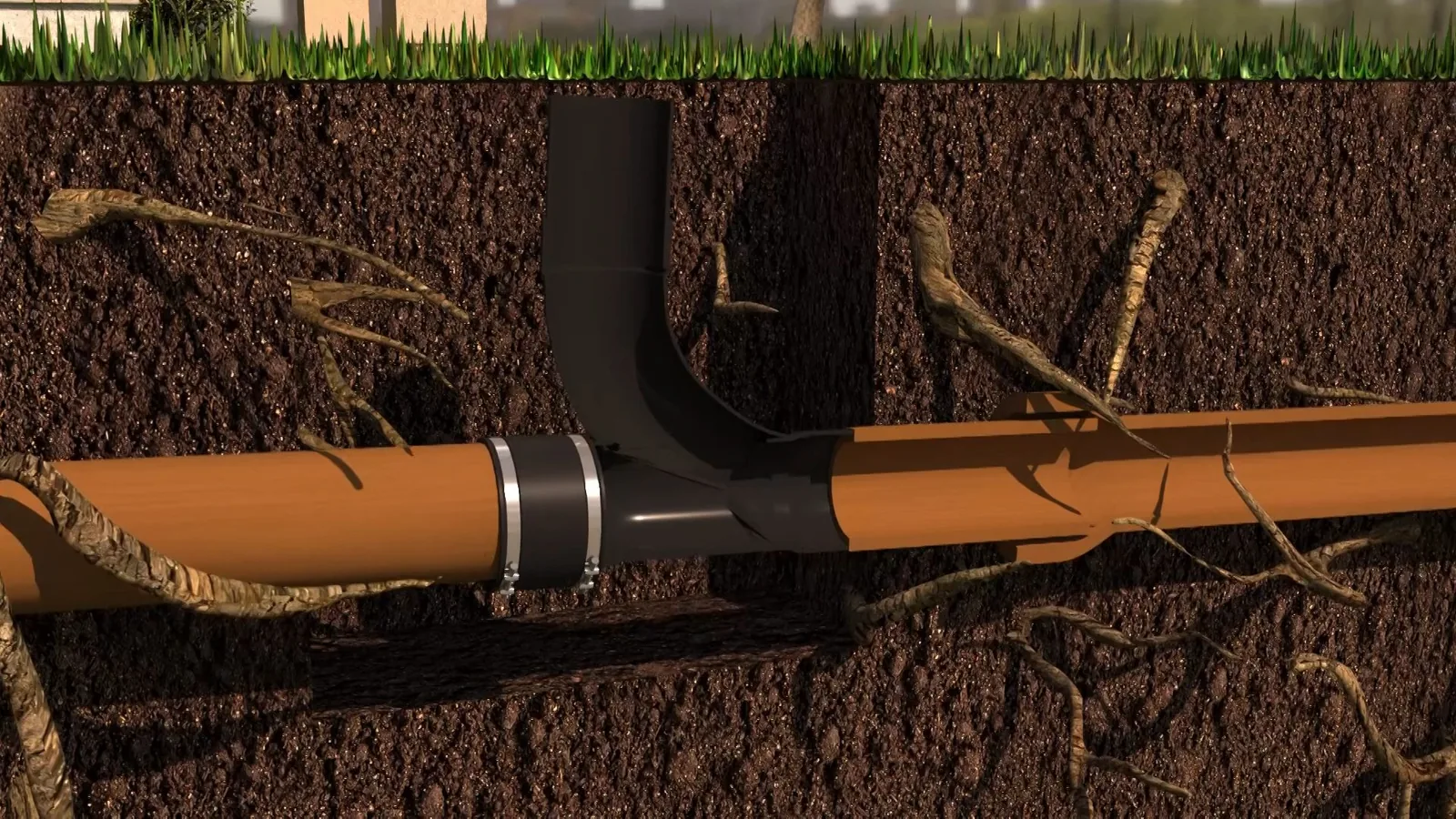 Illustrated cutaway of soil showing tree roots wrapped around a sewer pipe at a joint